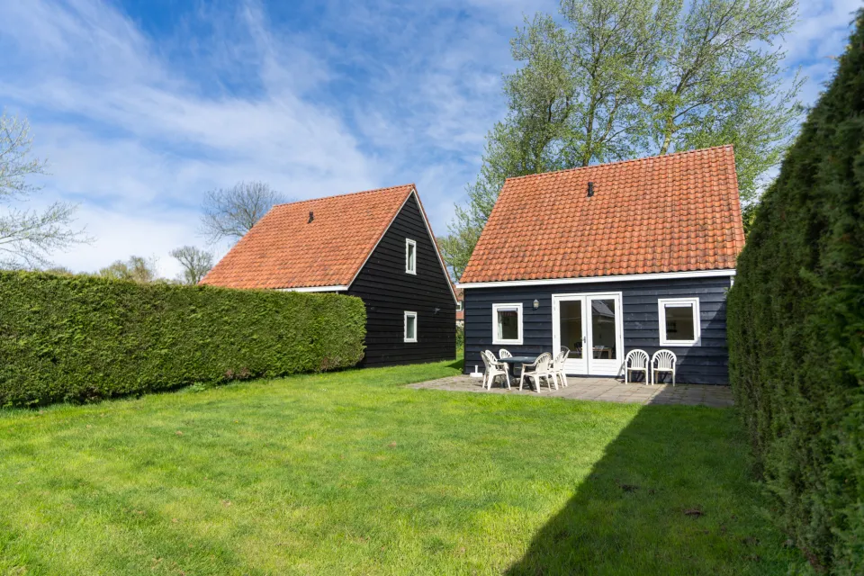 Esdoorn
