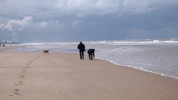 Wandelaars met een hond op het brede strand onder een grijze winterlucht