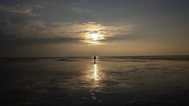 Silhouet van een wadloper op het glinsterende wad in het tegenlicht